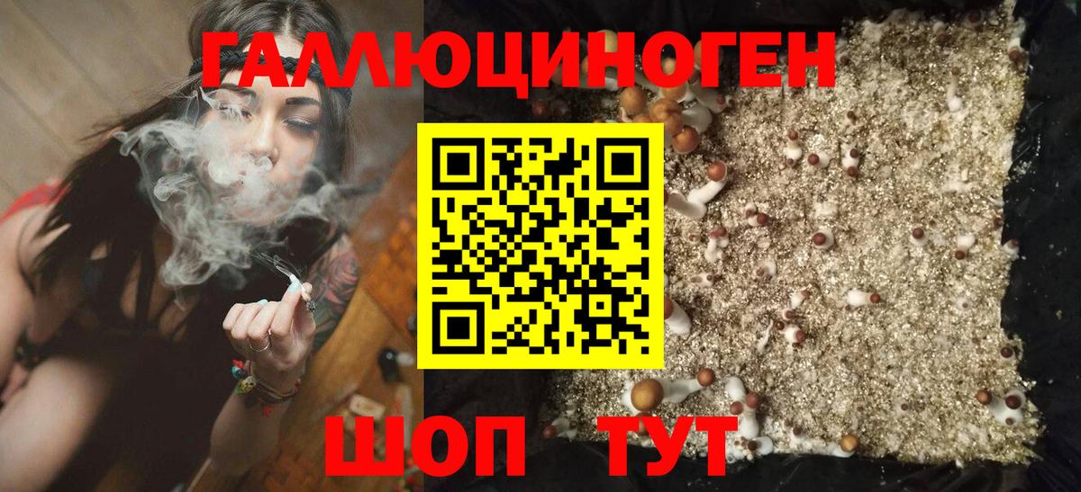 Псилоцибиновые грибы прущие грибы Сунжа