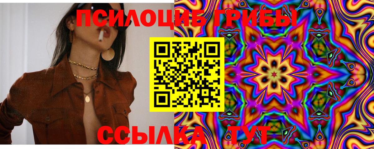 Псилоцибиновые грибы MAGIC MUSHROOMS  Вход с VPN  Сунжа  Псилоцибиновые грибы MAGIC MUSHROOMS 